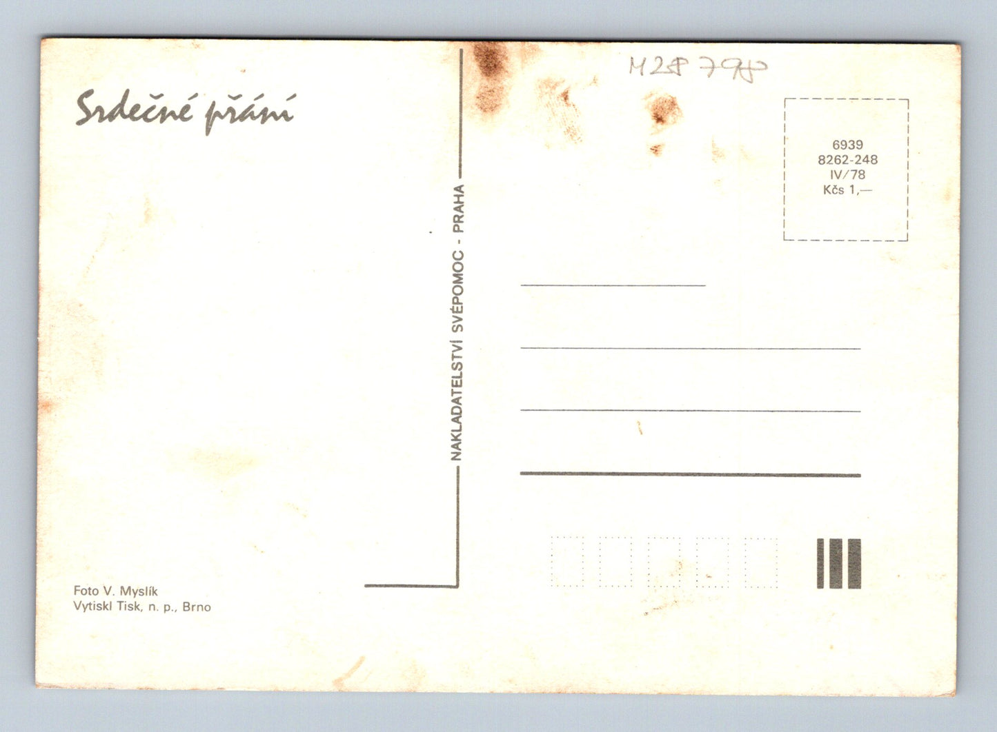 Pohlednice Kvetoucí růžové květy 1978 (M28798)