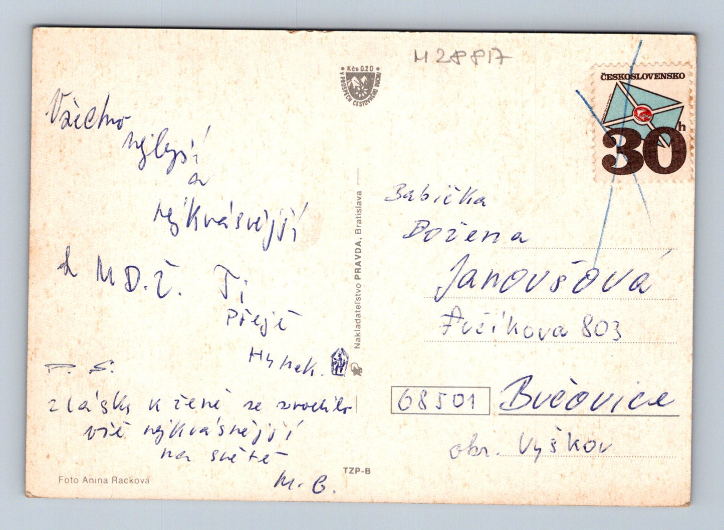 Pohlednice květiny (M28817)