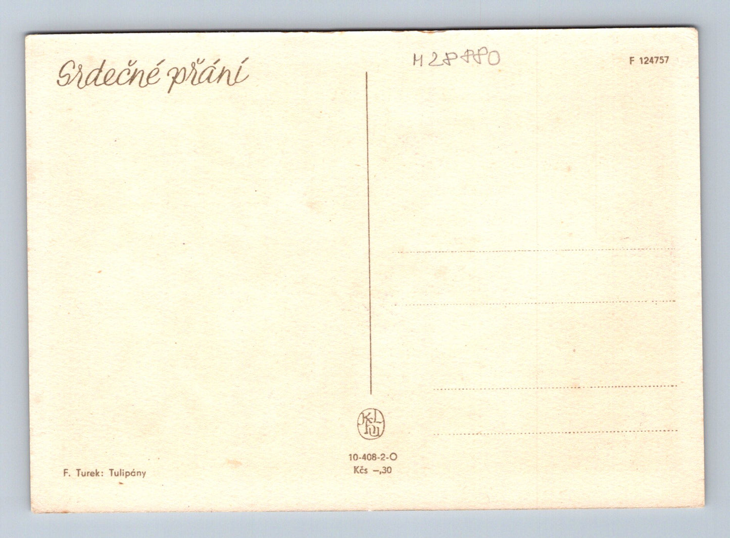 Pohlednice květiny F. Turek Tulipány (M28880)