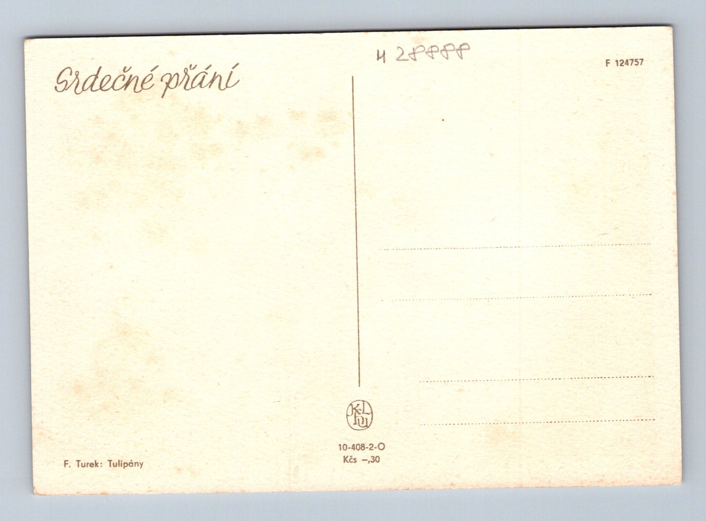 Pohlednice Kytice tulipánů F. Turek (M28888)