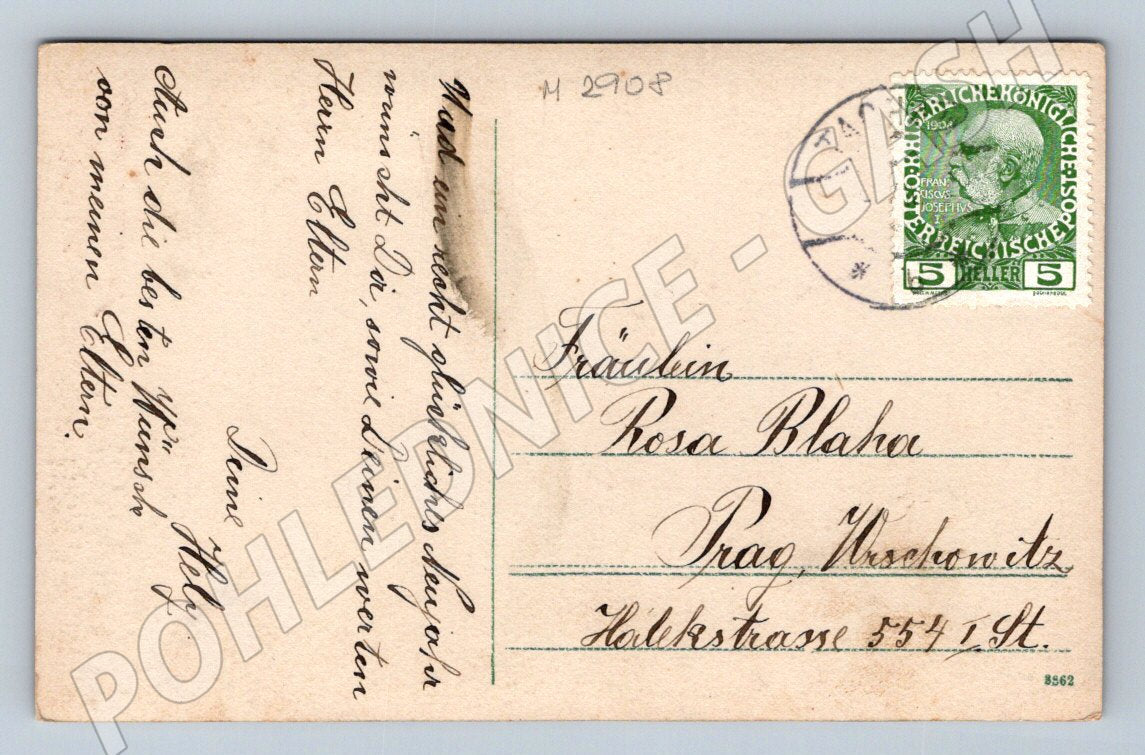 Postcard girl and mistletoe Austria 1908 (M2908)