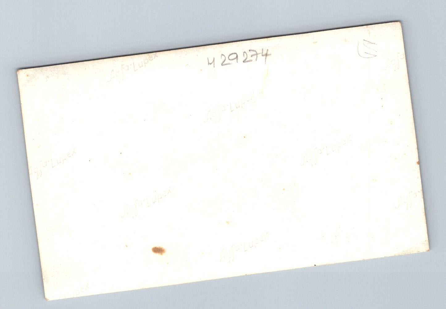 Stará fotografie osoba v karnevalovém kostýmu (M29274)