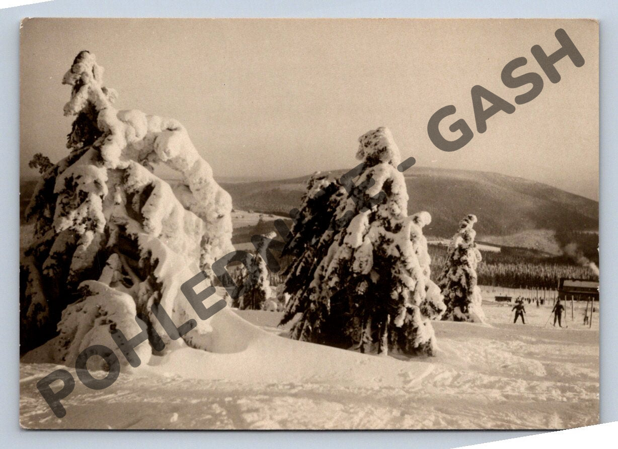 Pohlednice Krkonoše – Černý Důl, zimní , ROH lyžařská chata (M296)