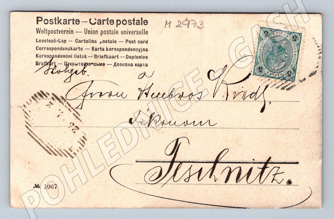 Postcard children on bicycles winter scene (M2973)