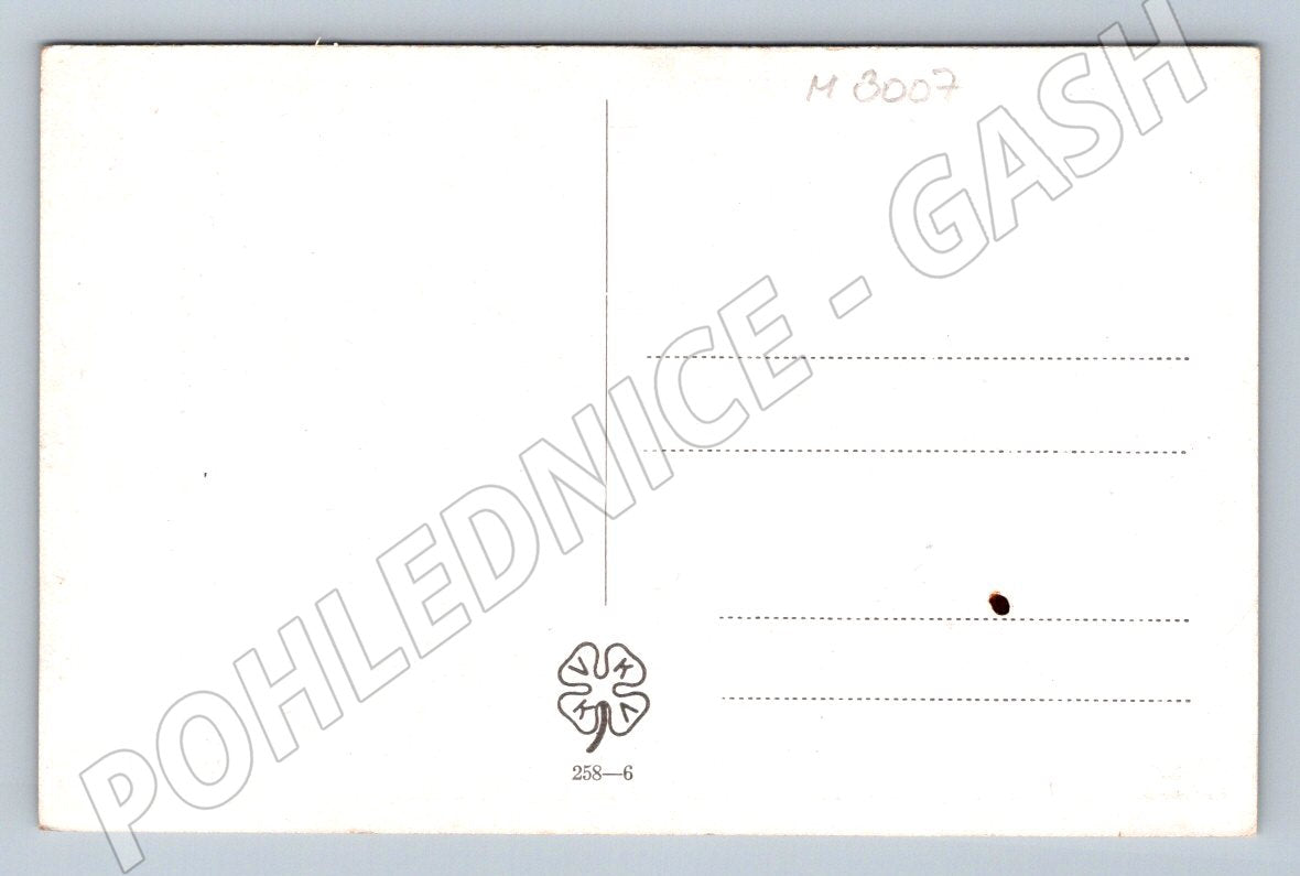 Postcard Slovak girl in traditional costume (M3007)