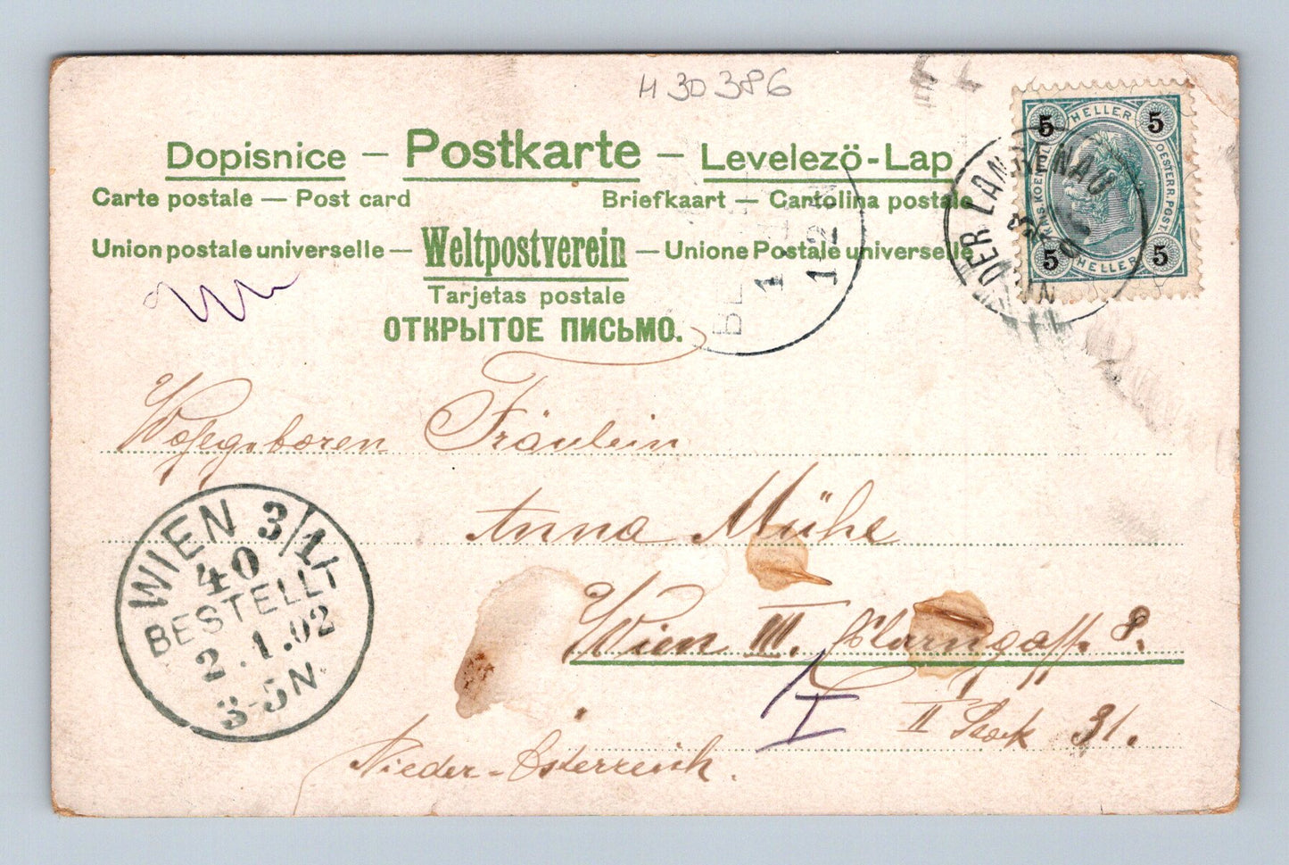 Pohlednice Rakousko Novoroční motiv čtyřlístek jeleni 1902 (M30386)