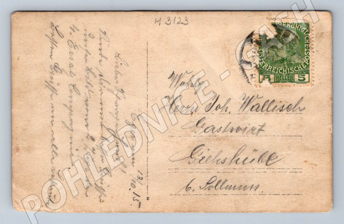 Postcard soldiers Austria-Hungary 1915 (M3123)