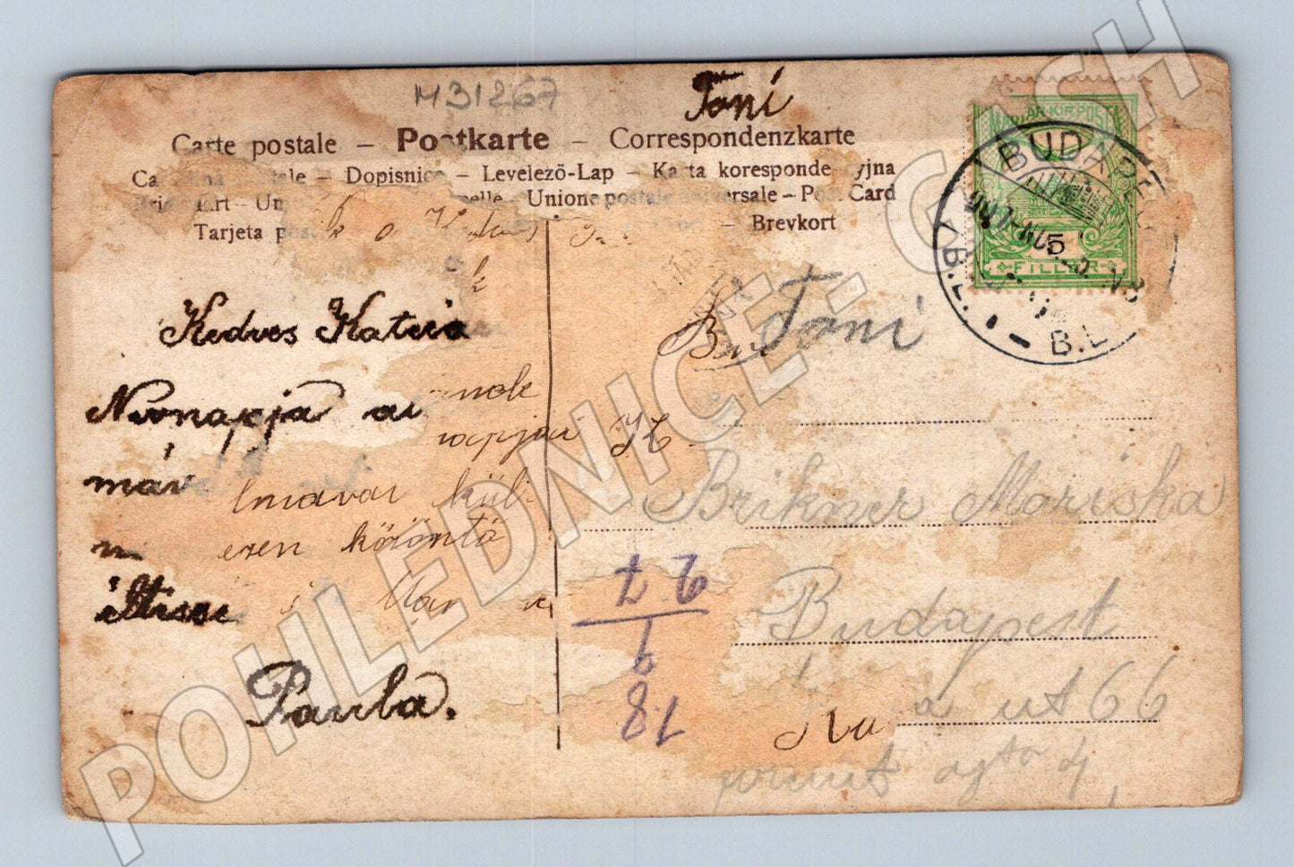 Pohlednice Maďarsko žena v šatech růže 1907 (M31267)