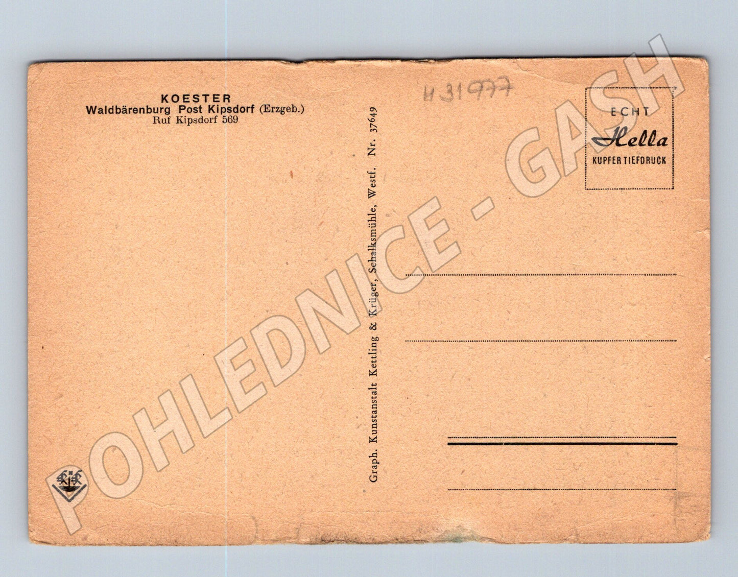 Pohlednice Německo Waldbärenburg interiér (M31977)