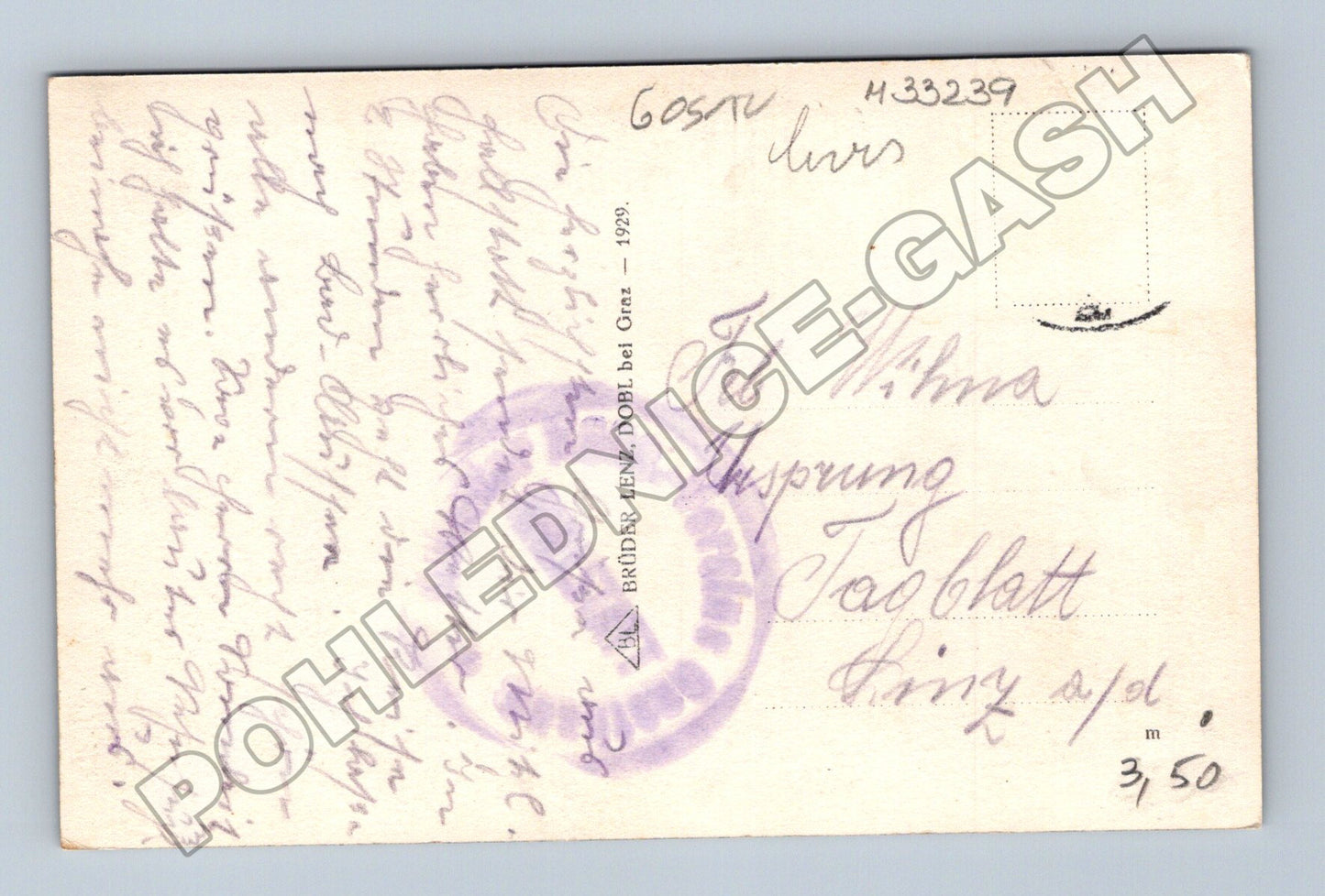 Rakousko Dachstein Karls-Eisfeld m. d. Diendln 1929 (M33239)
