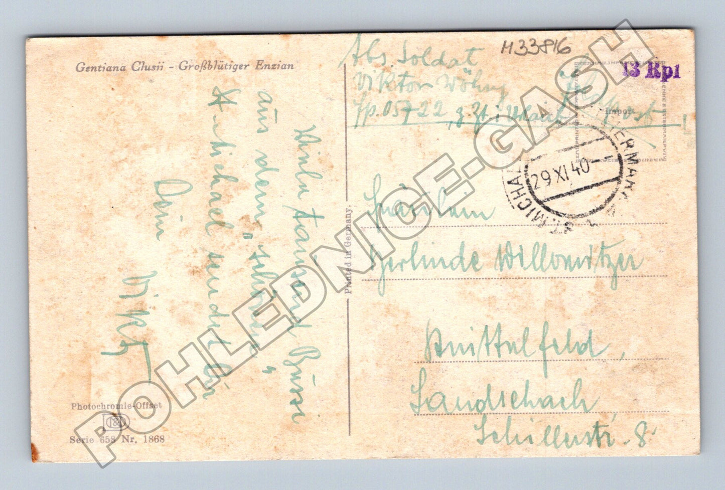 Pohlednice Německo Květina Gentiana 1940 (M33816)