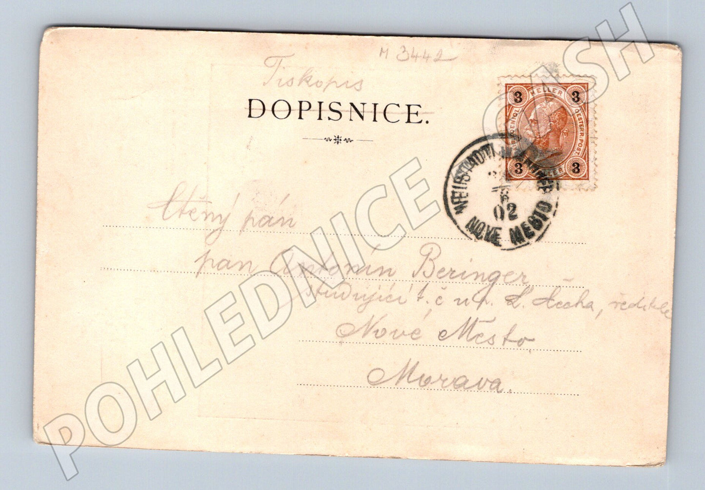 Pohlednice Žubštejn hrad 1902 (M3442)