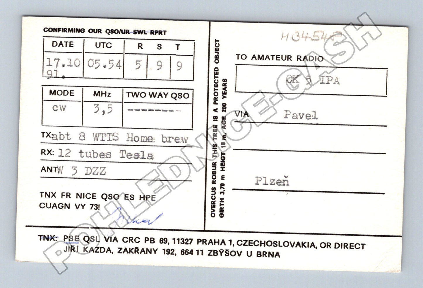 Pohlednice Zakřany u Brna strom QSL karta 1991 (M34548)