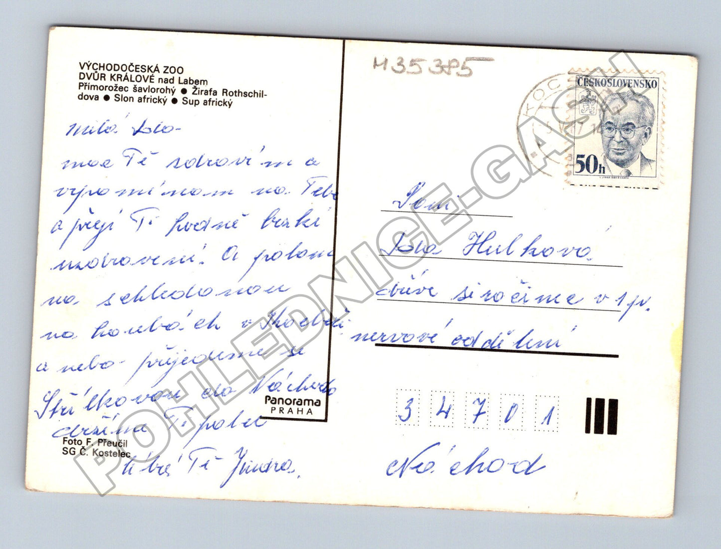 Pohlednice Dvůr Králové nad Labem zoo zvířata 1974 (M35385)