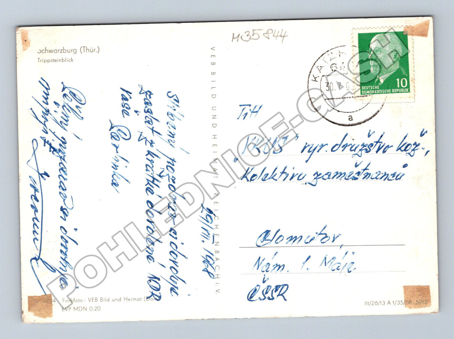 Pohlednice Německo Schwarzburg Trippsteinblick 1967 (M35844)
