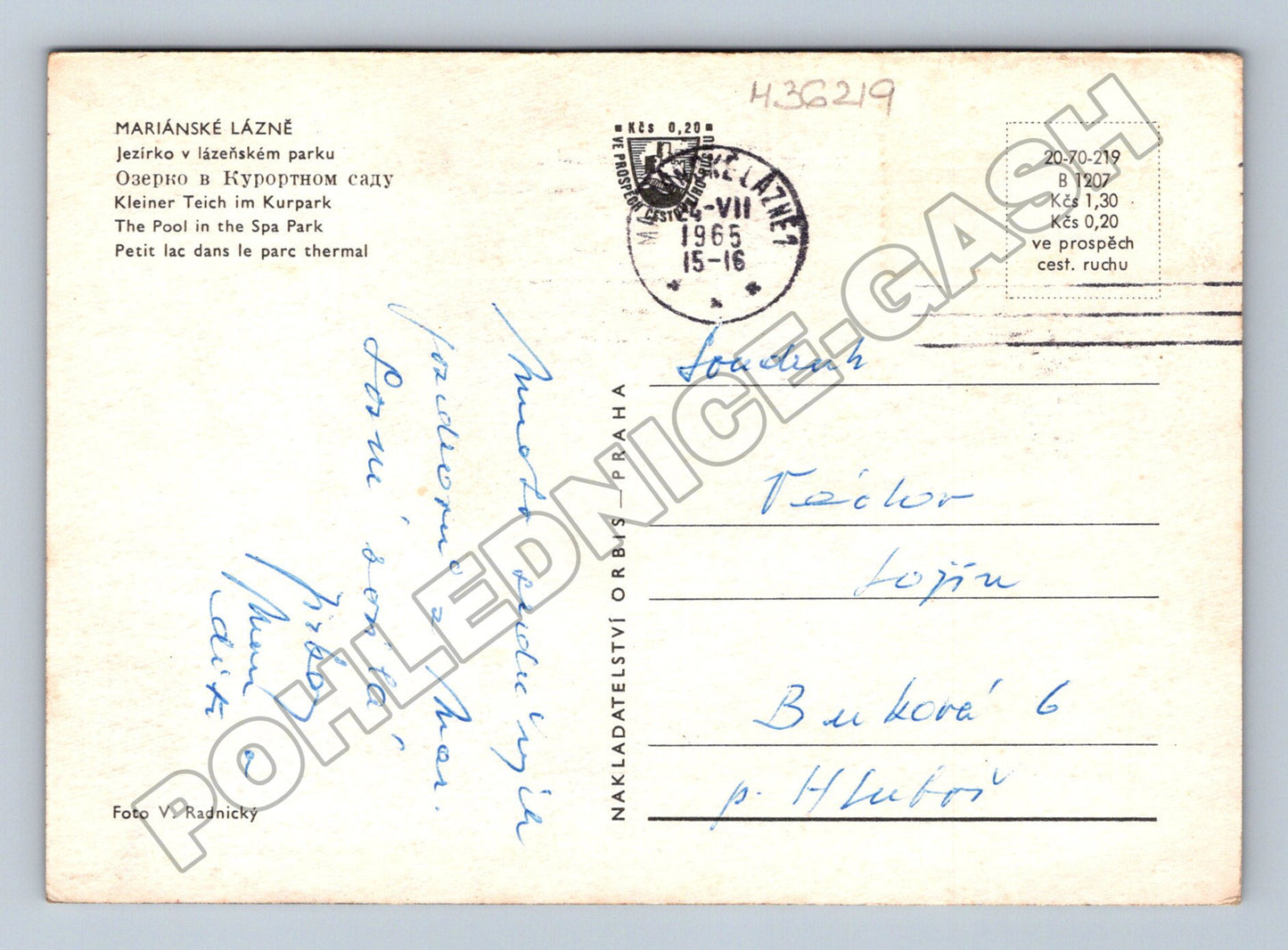 Pohlednice Mariánské Lázně jezírko v parku 1965 (M36219)