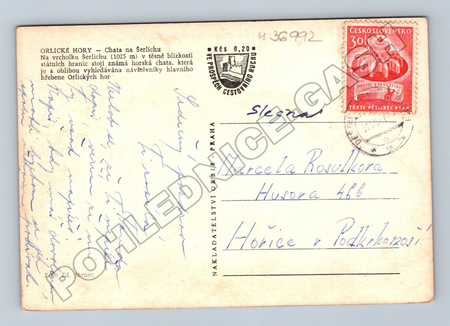 Pohlednice Orlické Hory Chata na Šerlichu 1950s (M36992)