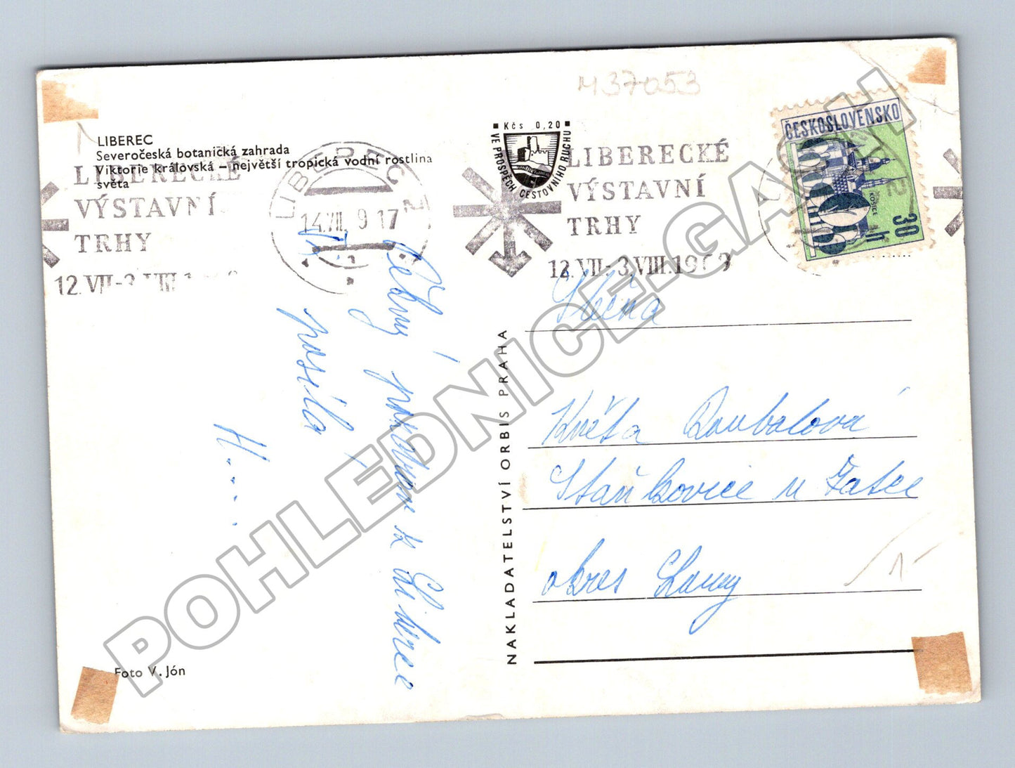 Pohlednice Liberec botanická zahrada Viktorie královská 1969 (M37053)
