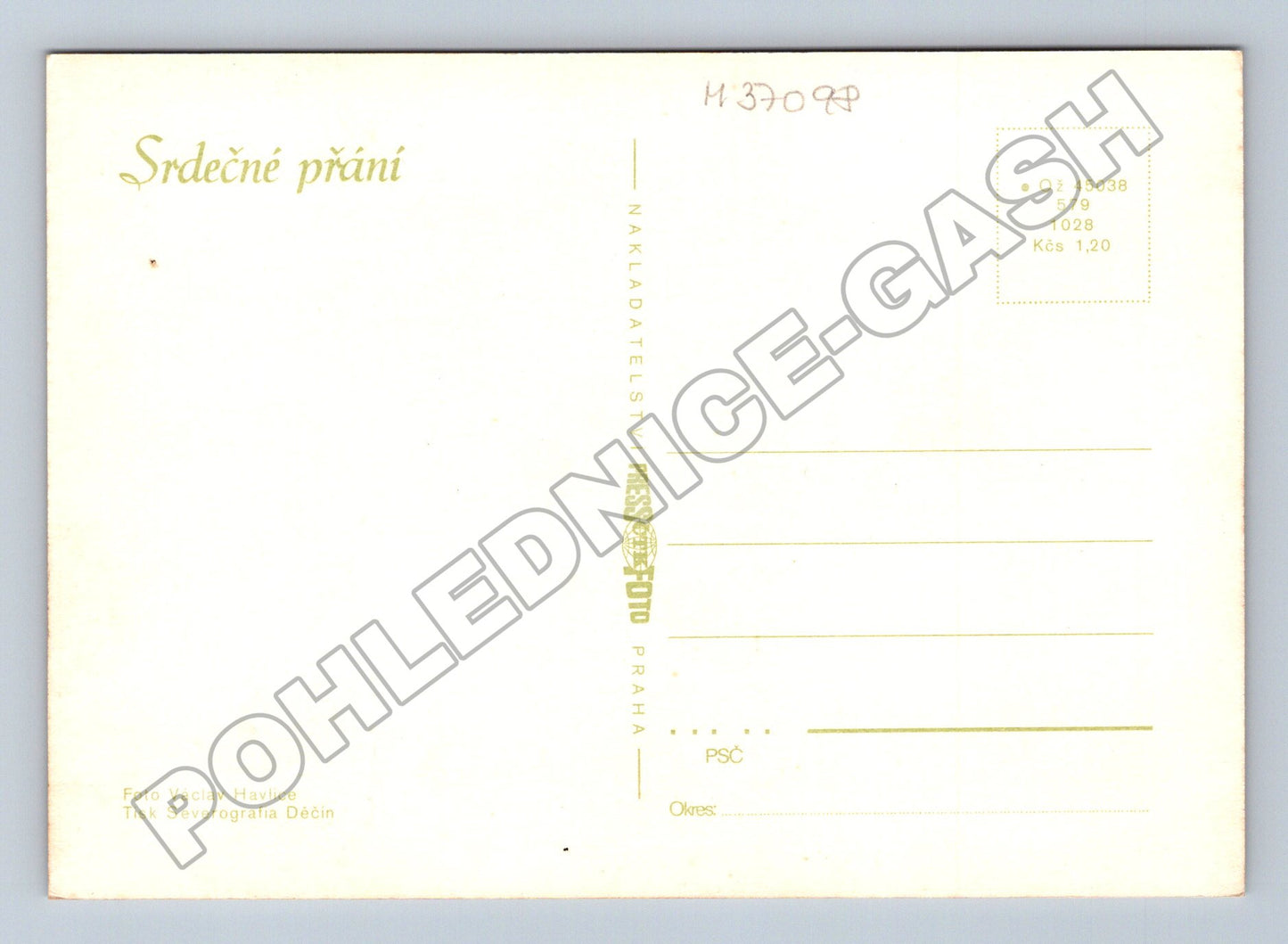 Pohlednice dvě gerbery květiny (M37098)
