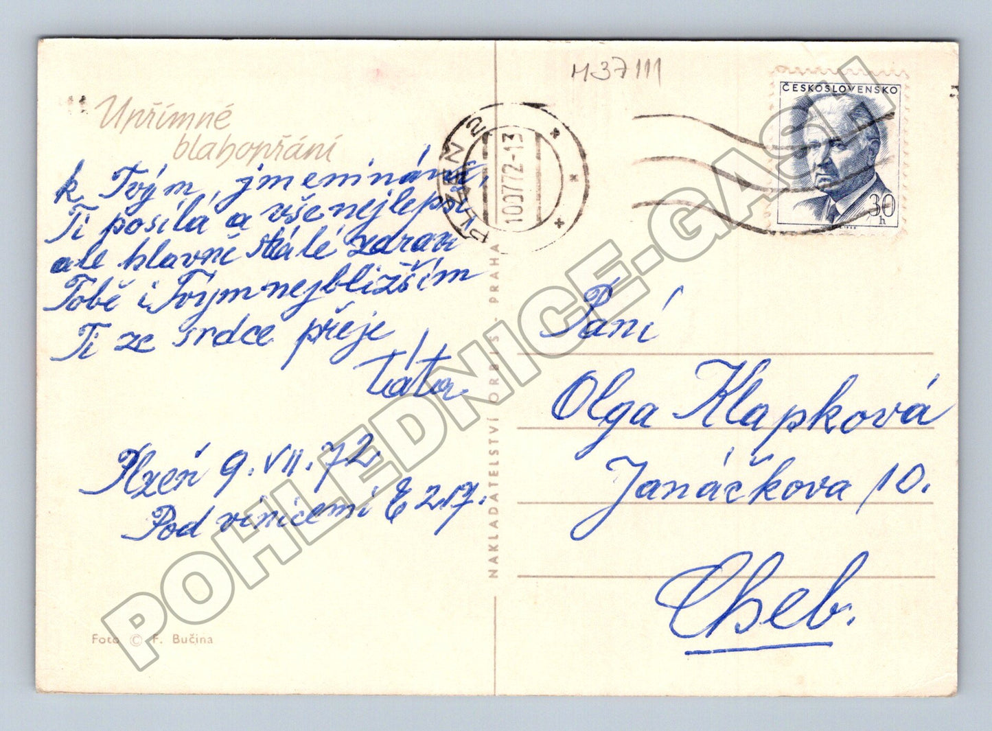 Pohlednice Květiny růže kopretiny 1972 (M37111)