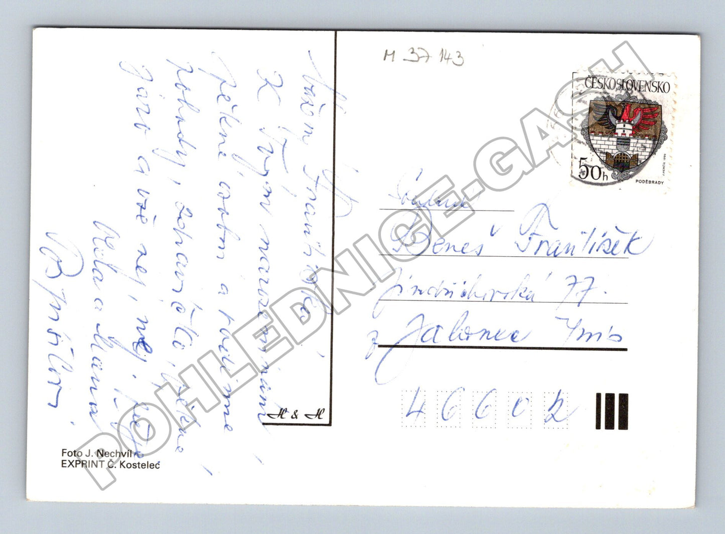 Pohlednice Kytice květin v barvě (M37143)