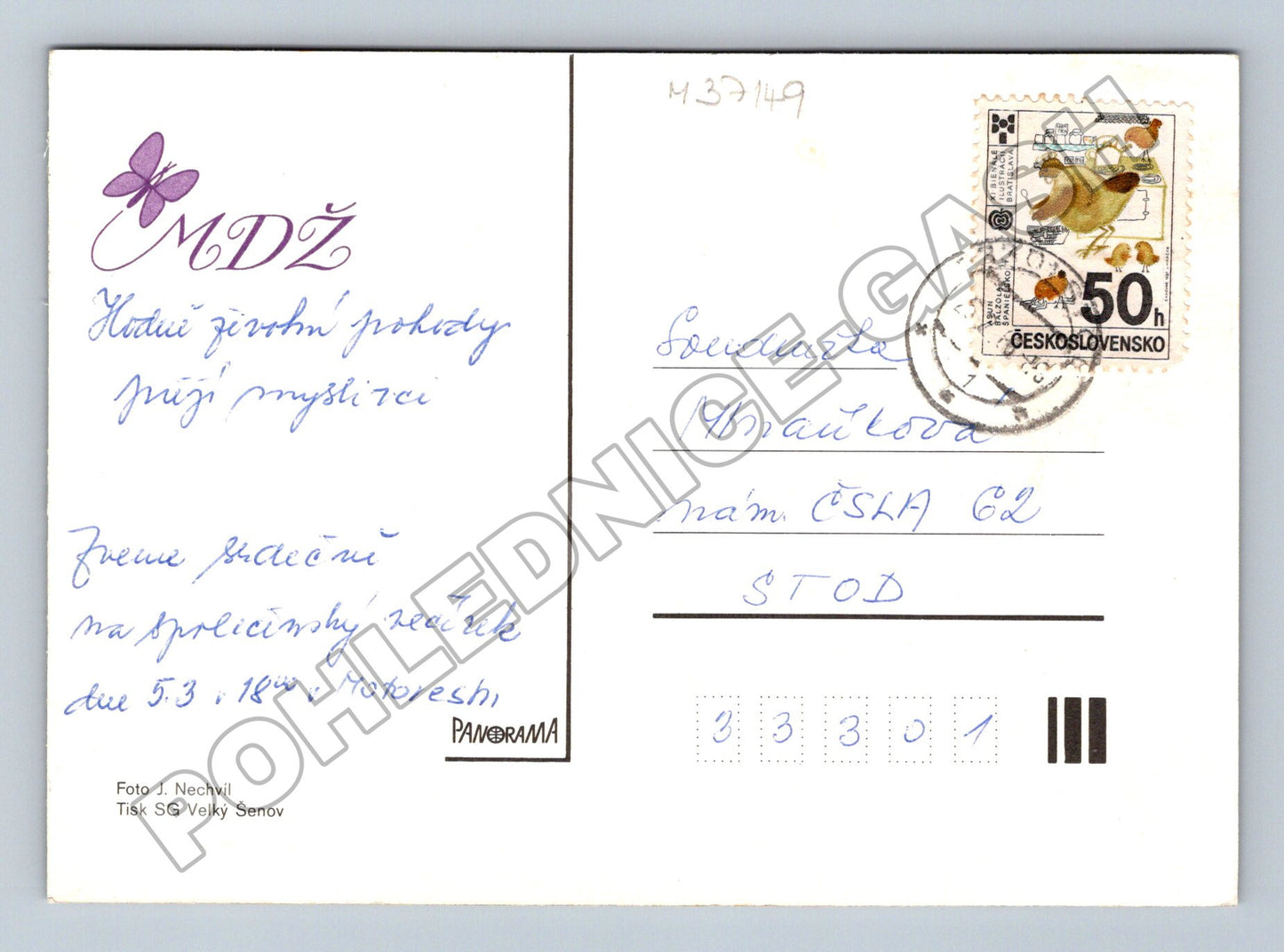 Pohlednice Frézie květiny 1980 (M37149)