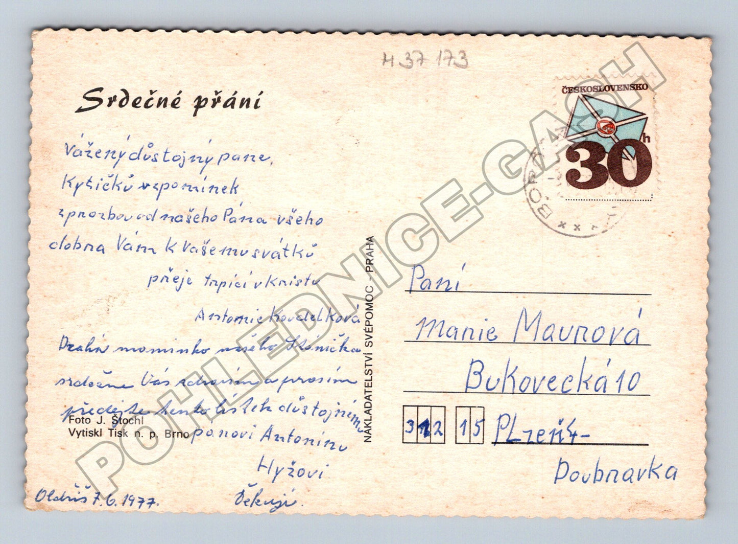Pohlednice červené karafiáty 1977 (M37173)