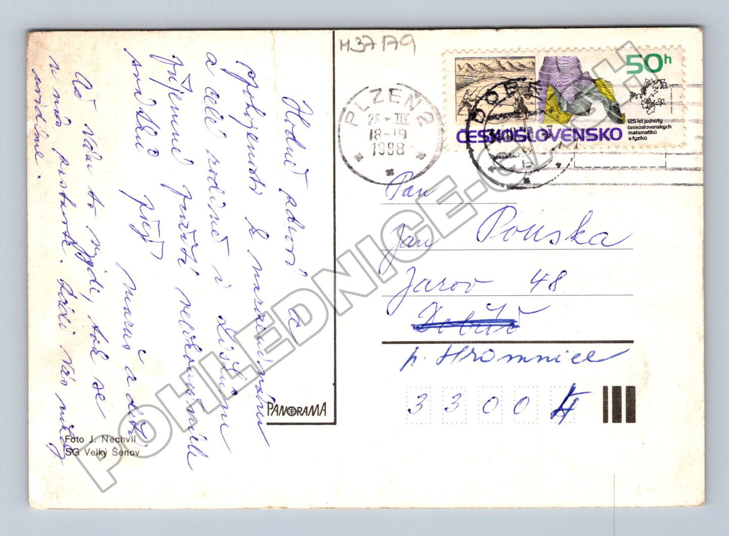 Pohlednice Kytice narcisů 1998 (M37179)