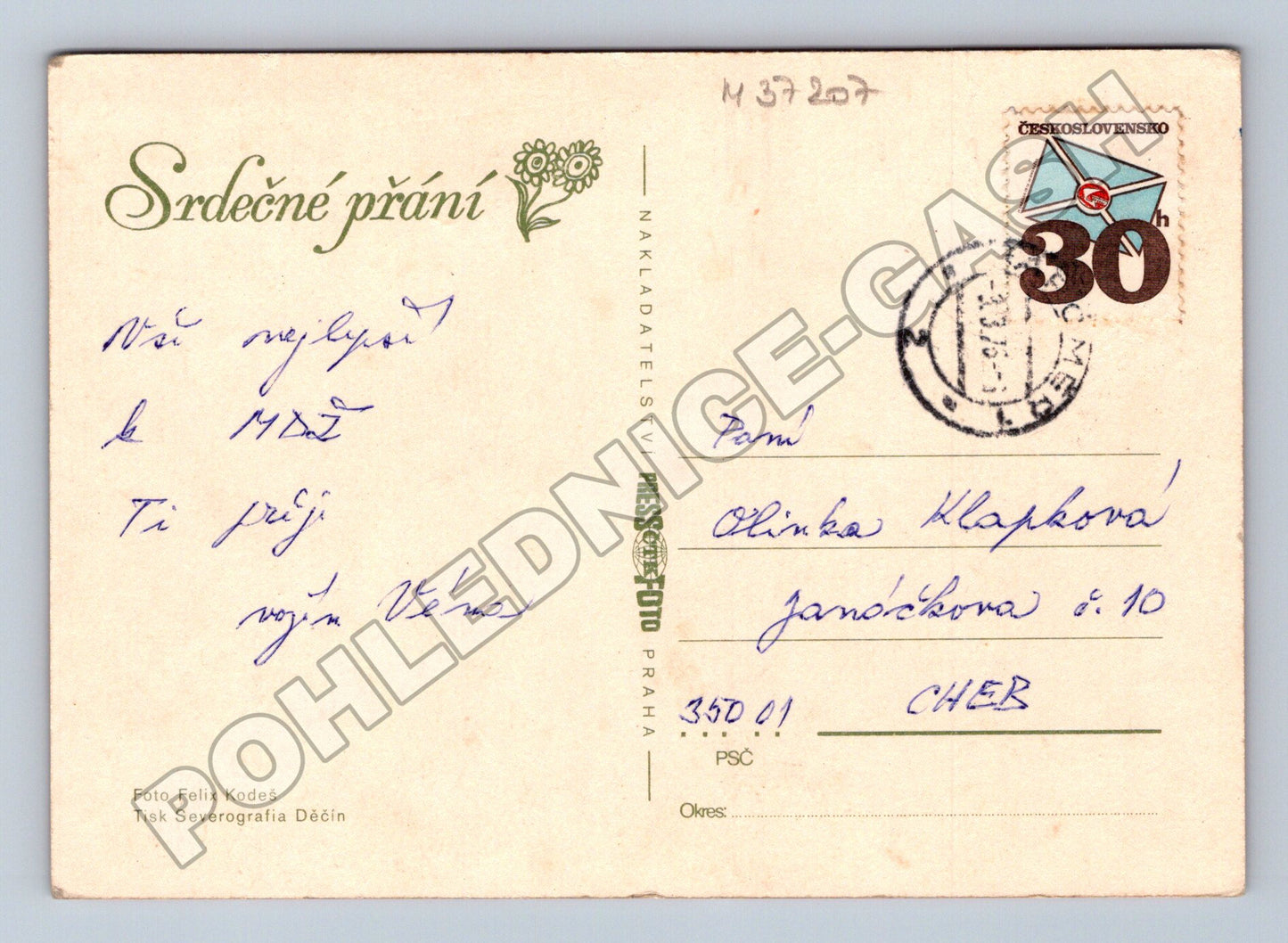 Pohlednice Květiny žlutá a bílá na červeném pozadí (M37207)