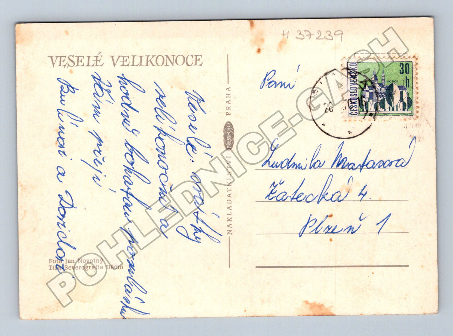 Pohlednice Velikonoce pomlázka kočičky 1966 (M37239)
