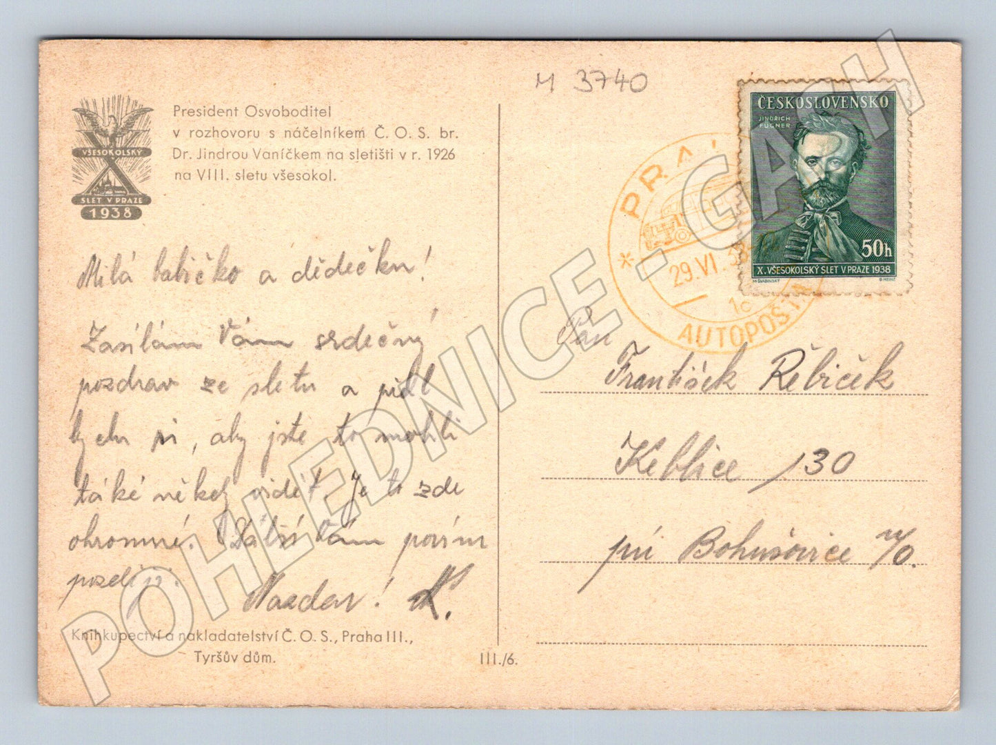 Pohlednice všesokolský slet jezdec (M3740)