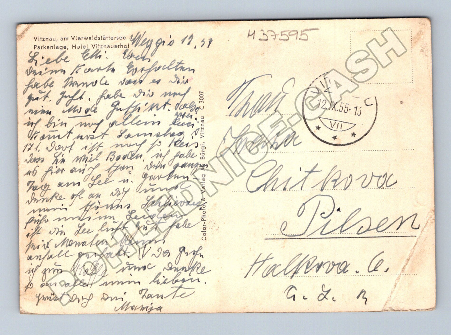Pohlednice Švýcarsko Vitznau, Vierwaldstättersee 1955 (M37595)
