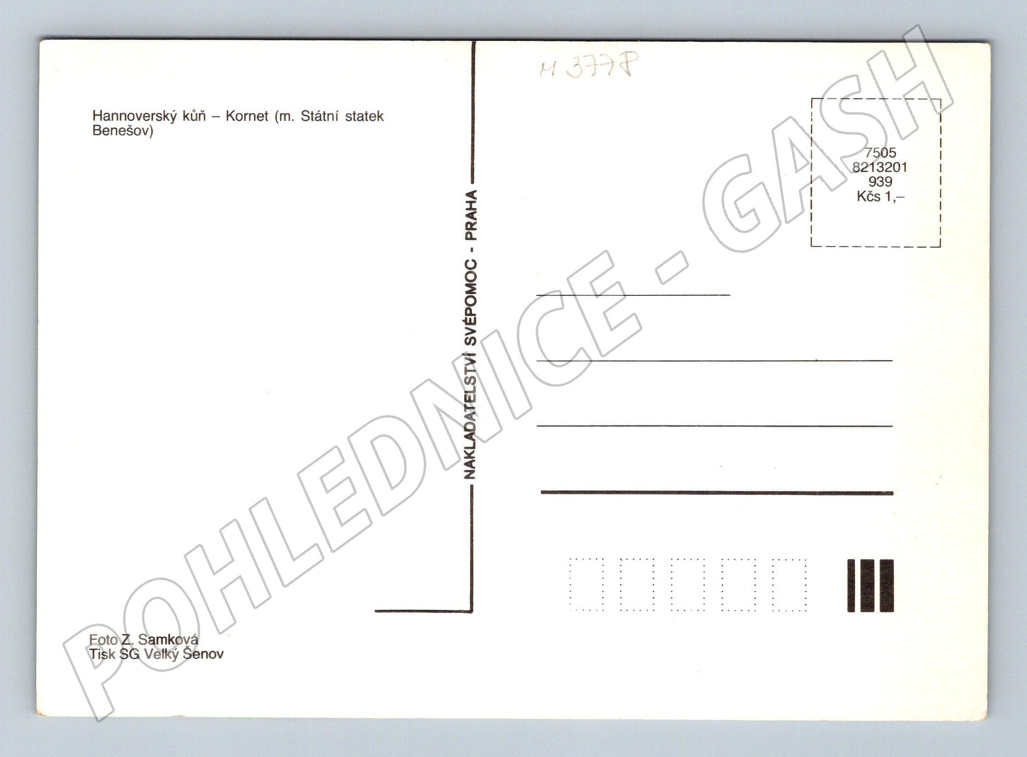 Pohlednice Kornet hannoverský kůň (M3778)