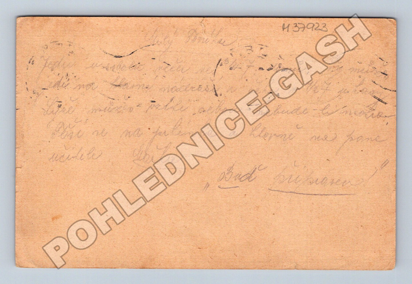 Pohlednice Plzeň neznámý motiv 1921 (M37923)