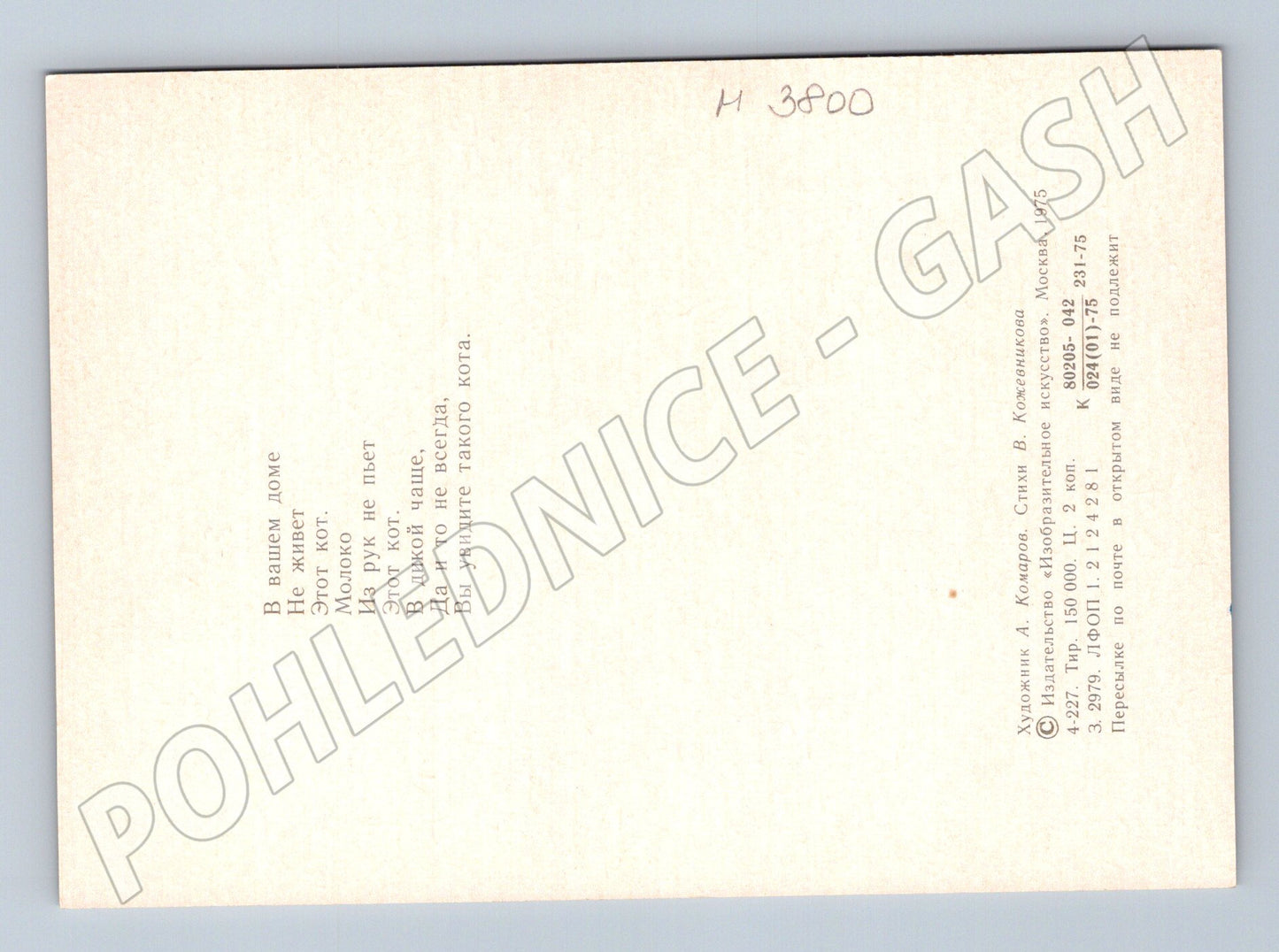 Pohlednice divoká kočka na větvi (M3800)