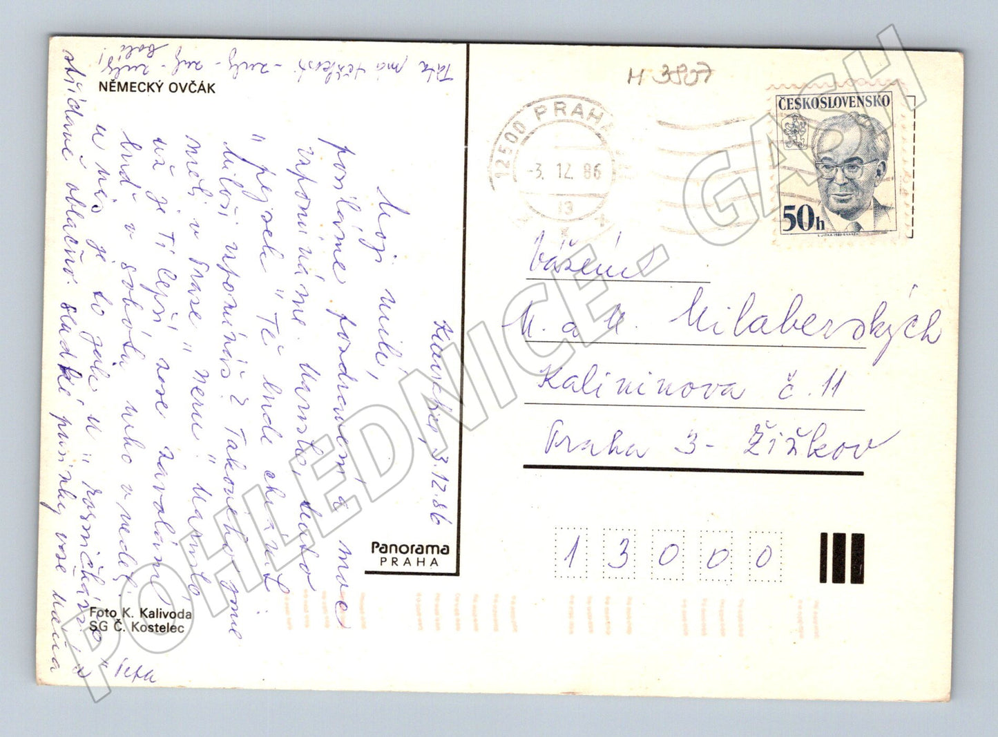 Pohlednice německý ovčák – Panorama Praha (M3807)