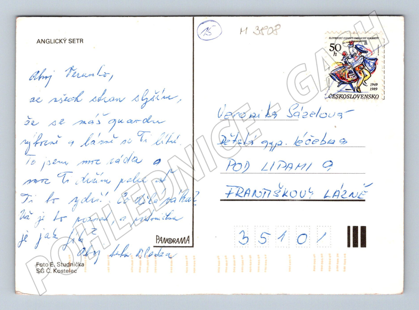 Pohlednice anglický setr – tři psi (M3808)