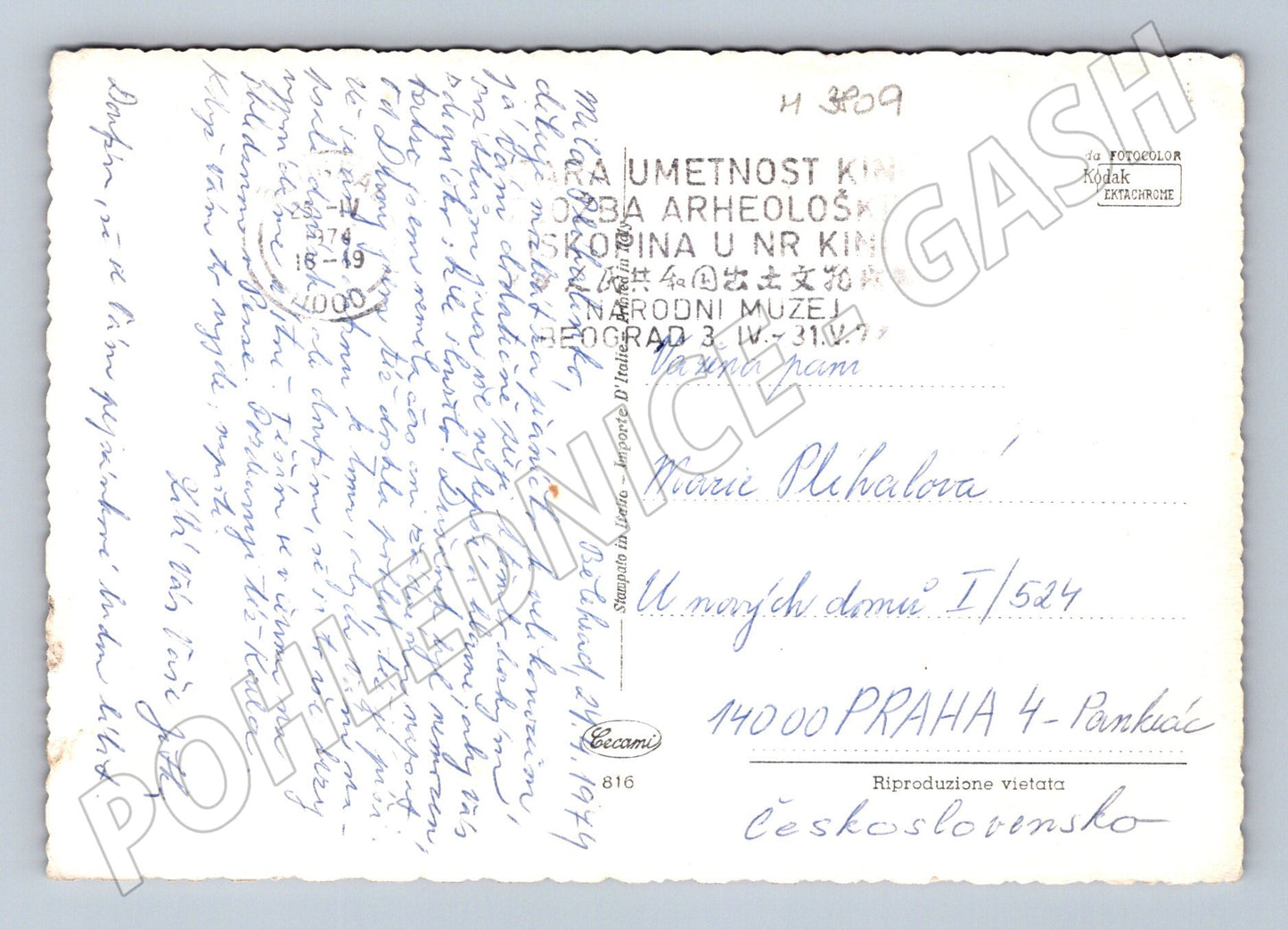 Pohlednice štěňata bígla – roztomilý motiv (M3809)