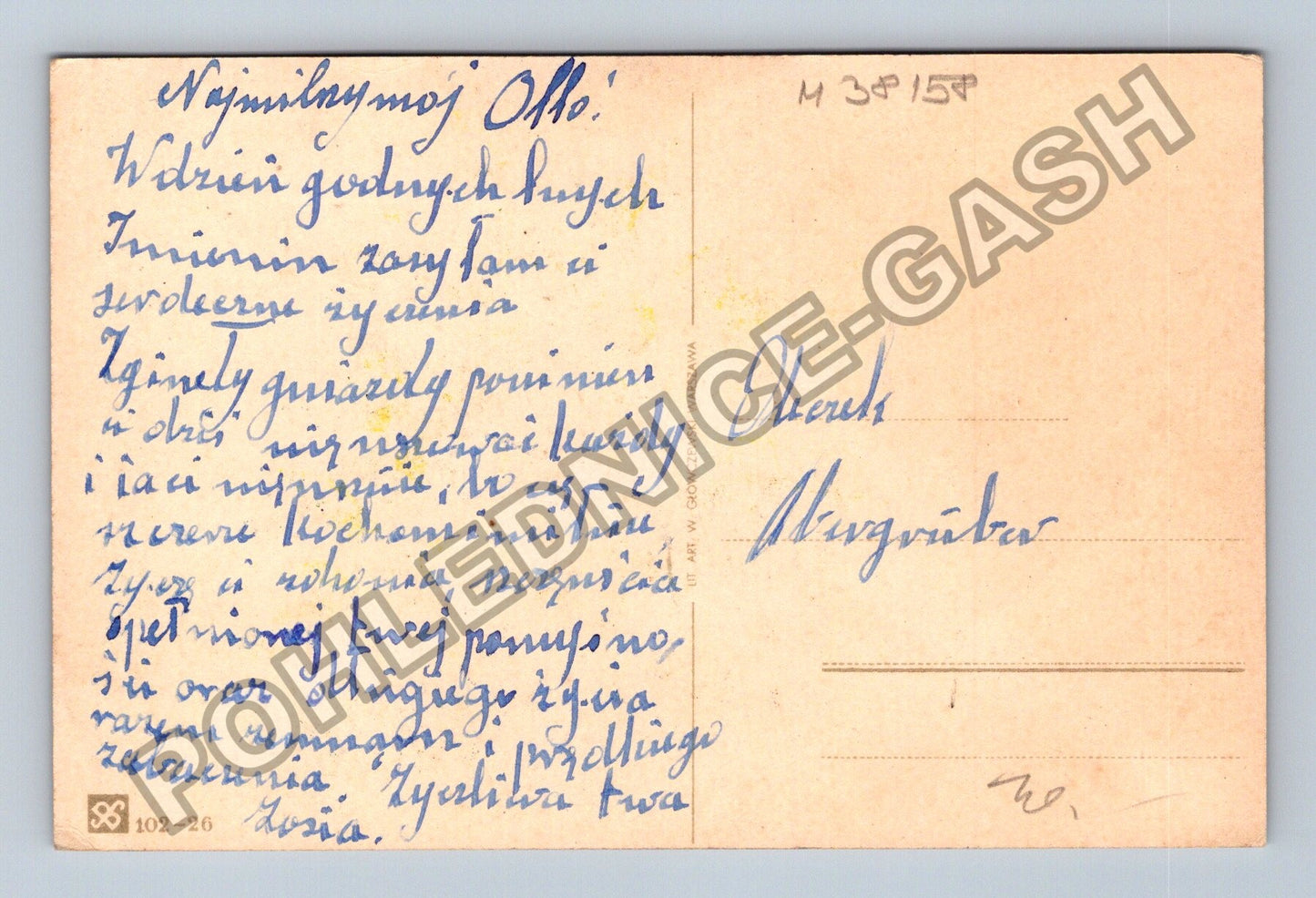 Pohlednice Polsko protěž novoroční přání (M38158)