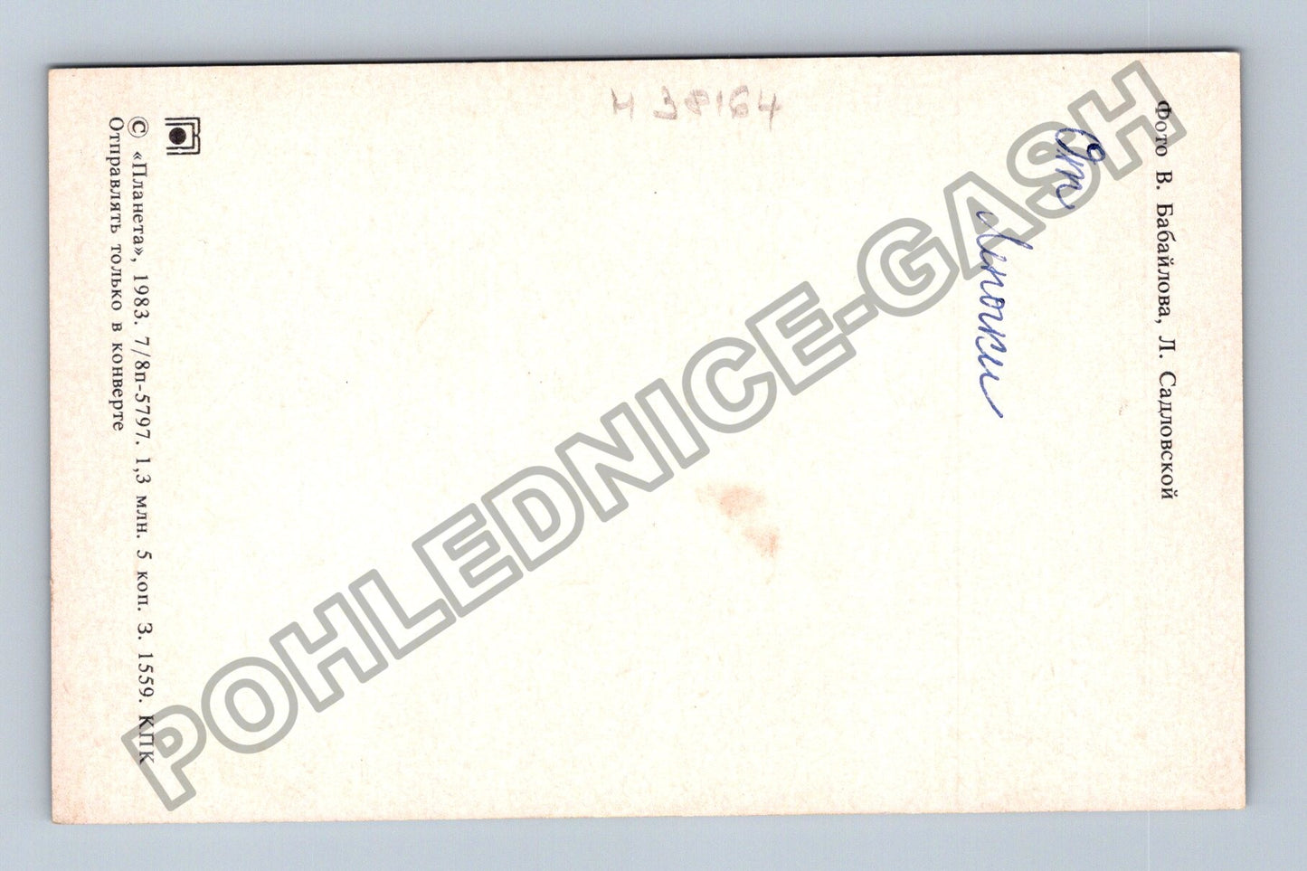 Pohlednice Rusko SSSR kytice mimózy a květin 1983 (M38164)