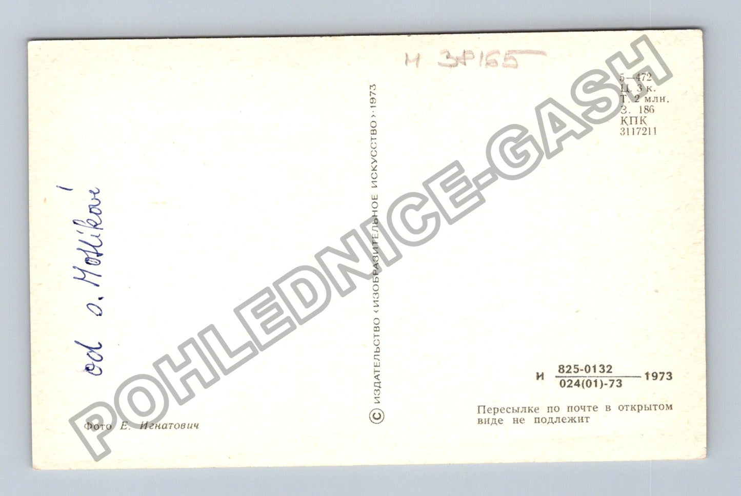 Pohlednice Fialky s věnováním 1973 (M38165)