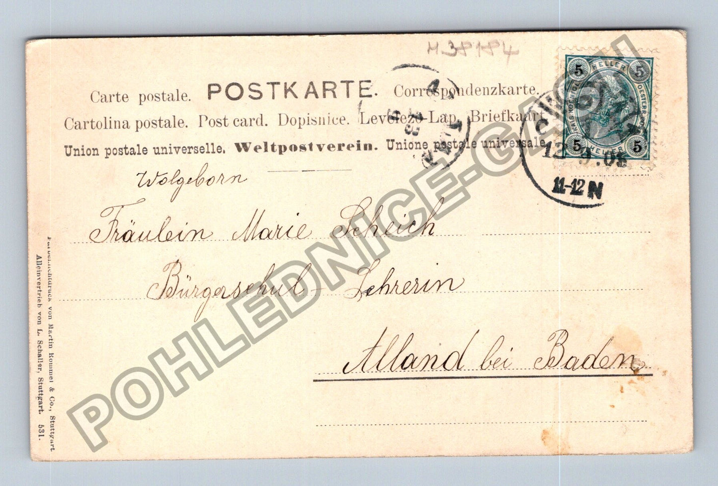 Pohlednice Německo Květiny hořce 1908 (M38184)