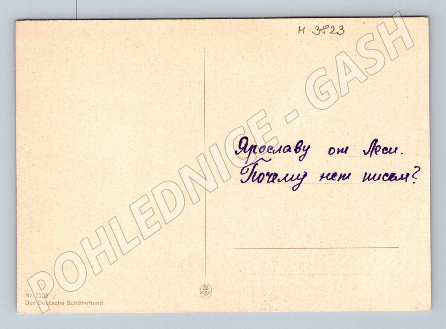 Pohlednice německý ovčák – Schäferhund (M3823)