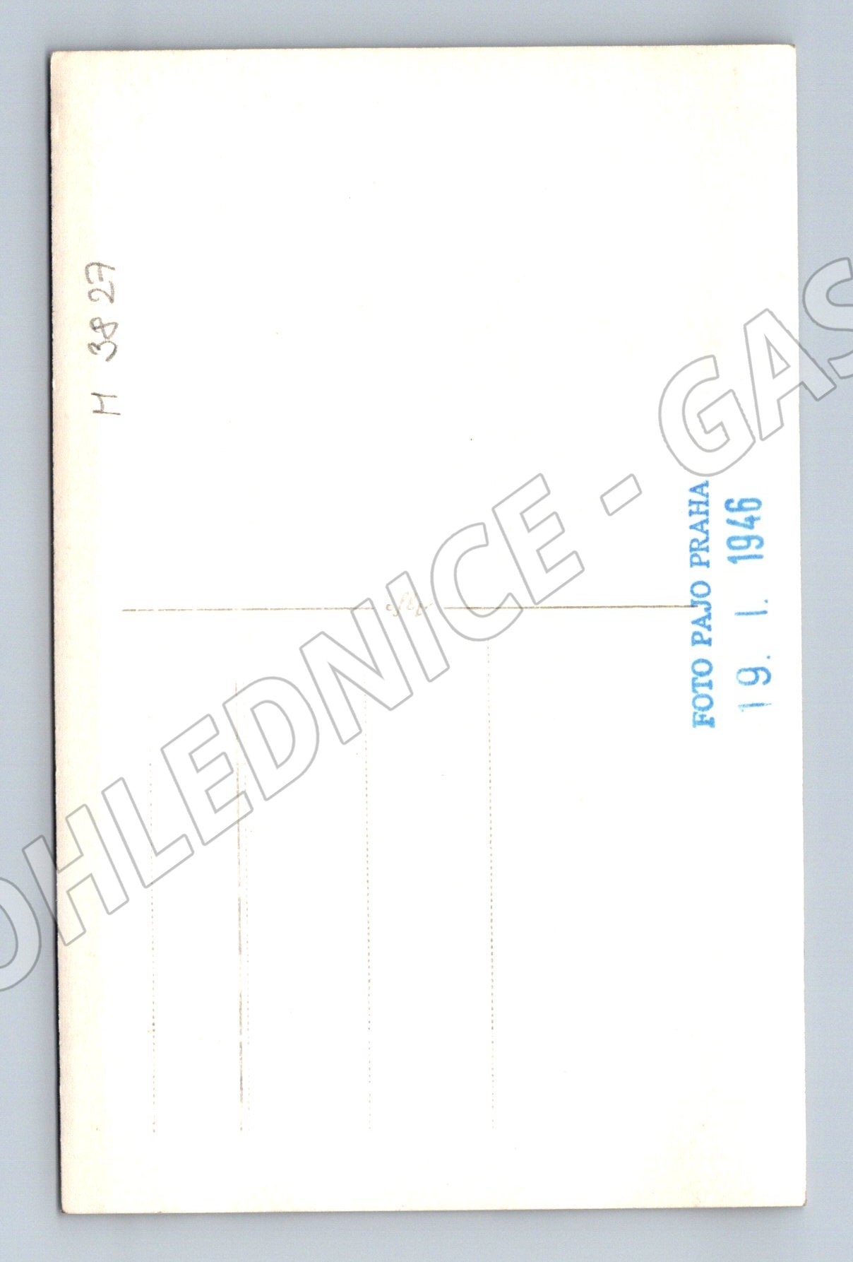 Pohlednice německý ovčák – portrét psa (M3827)