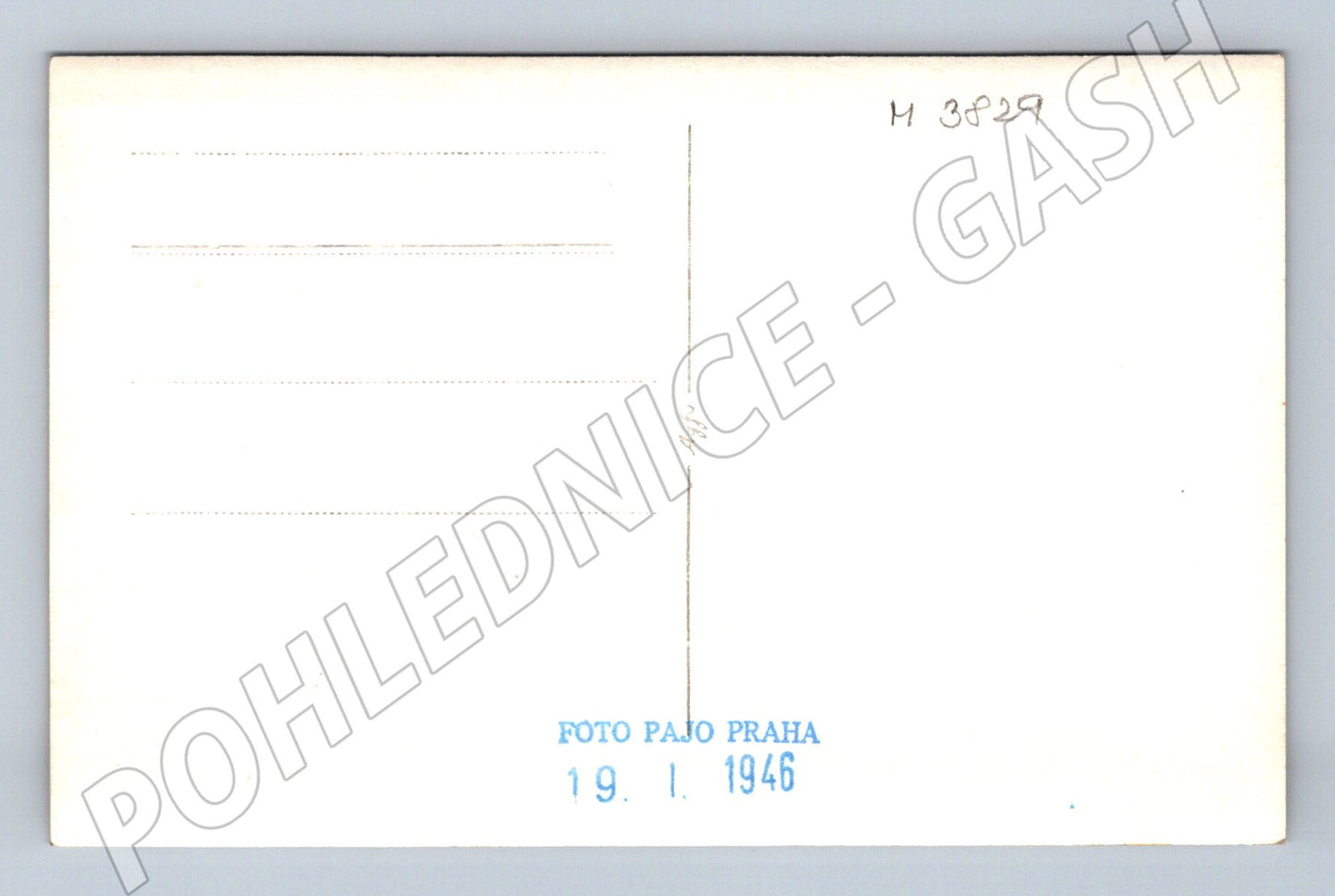 Pohlednice pes – Pajo Praha, sběratelský tisk (M3829)