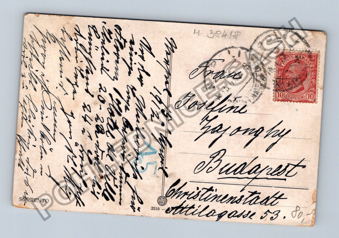Pohlednice Itálie Sorrento pobřeží kozy (M38418)