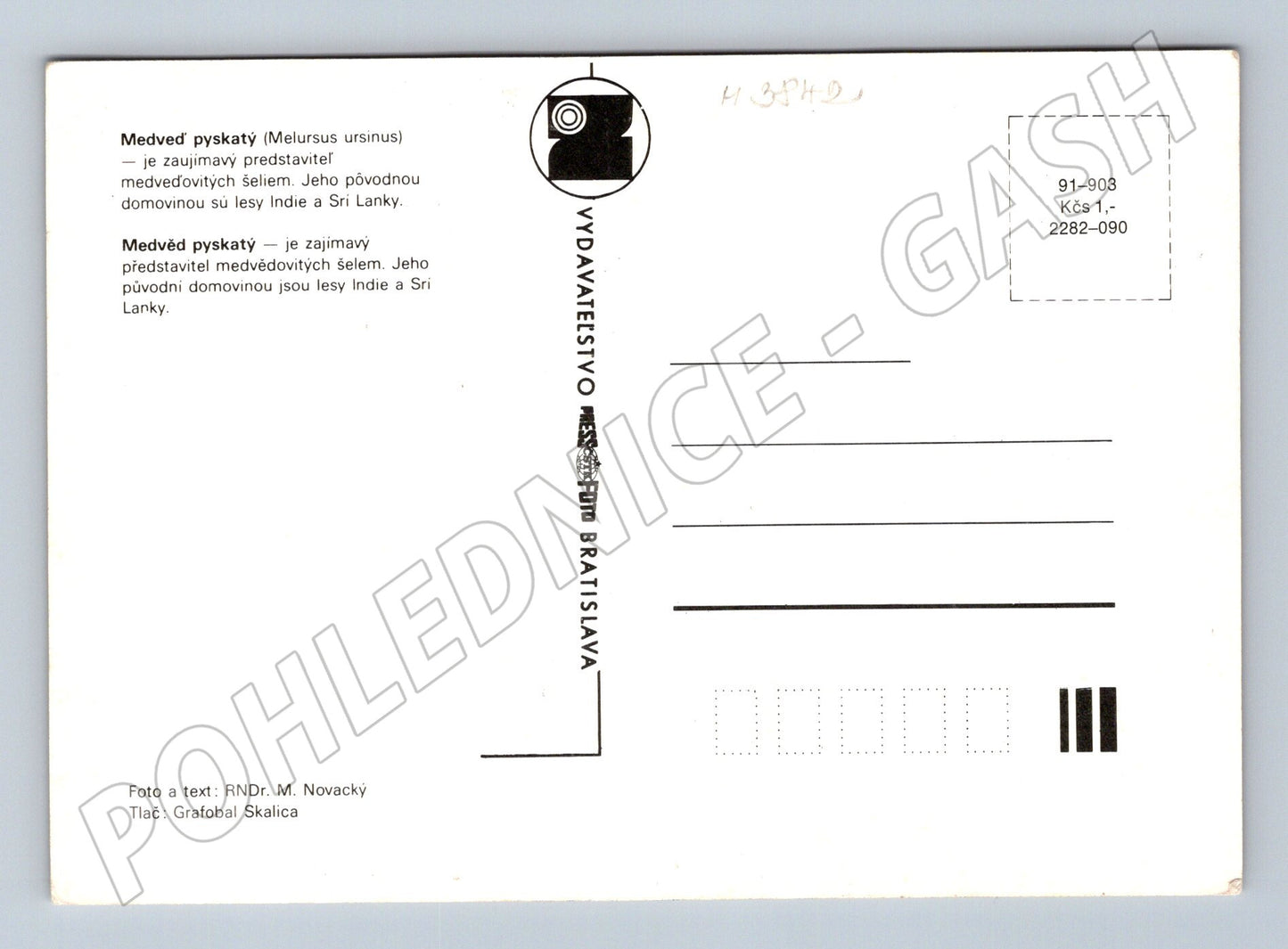 Pohlednice medvěd pyskatý – portrét zvířete (M3842)