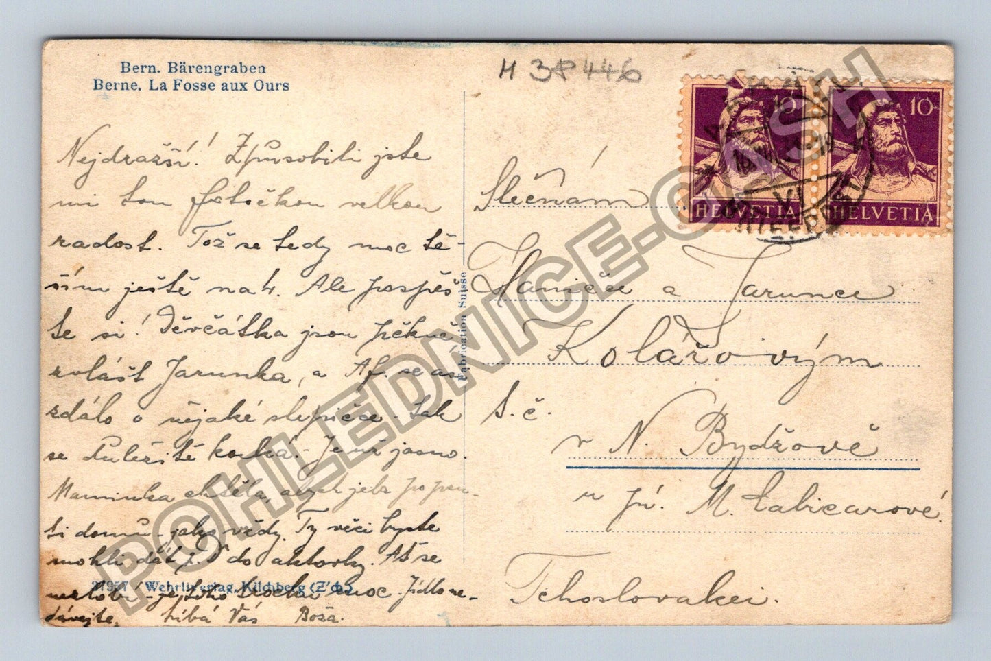 Pohlednice Švýcarsko Bern Bärengraben medvědi (M38446)
