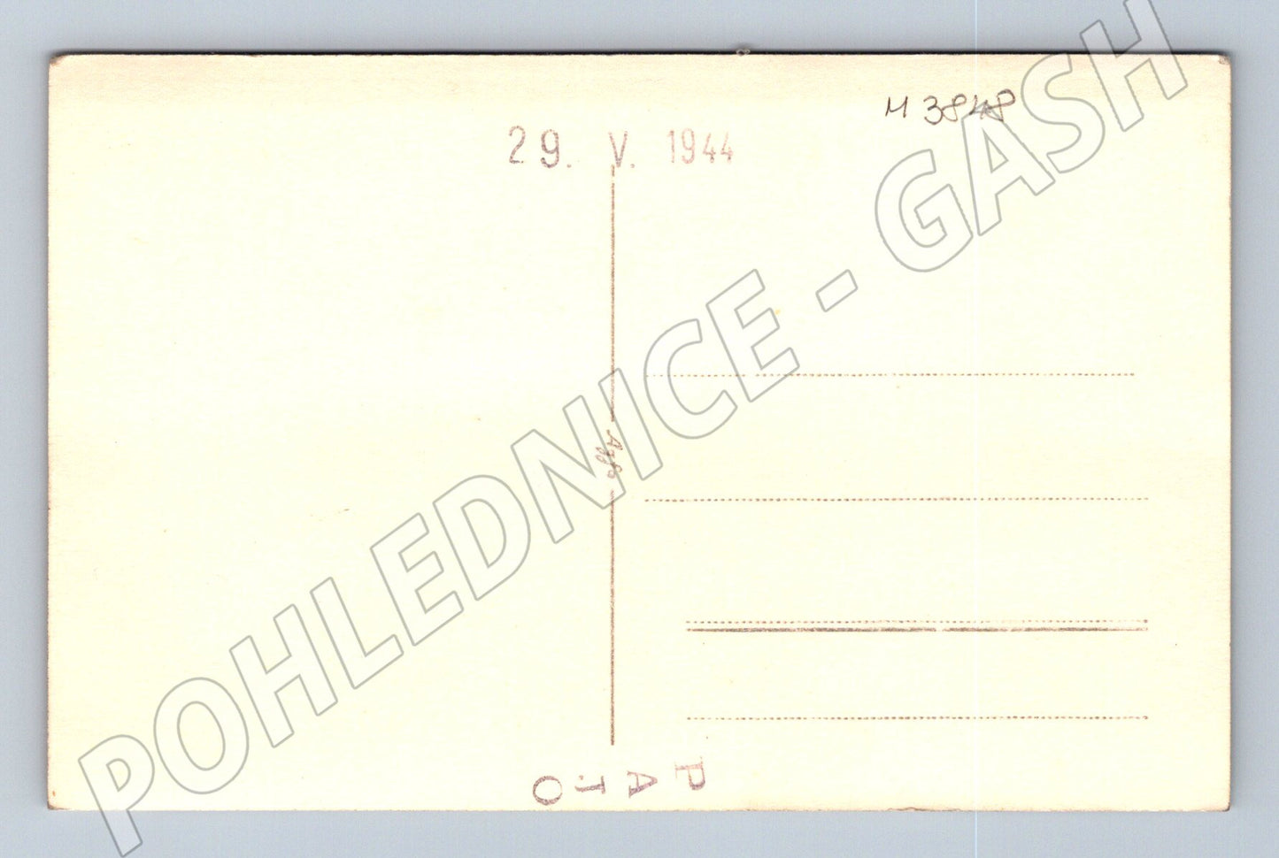 Pohlednice mláďata v hnízdě – černobílý motiv (M3848)