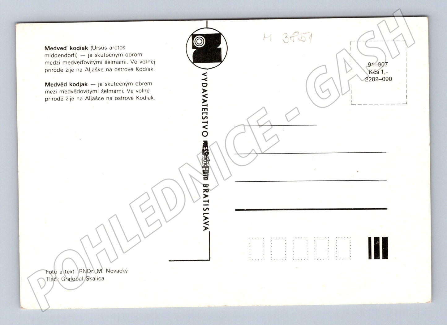 Pohlednice medvěd kodiak – Osveta Bratislava (M3851)